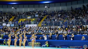 esibizioni farfalle ph simone ferraro dsc09821 copia